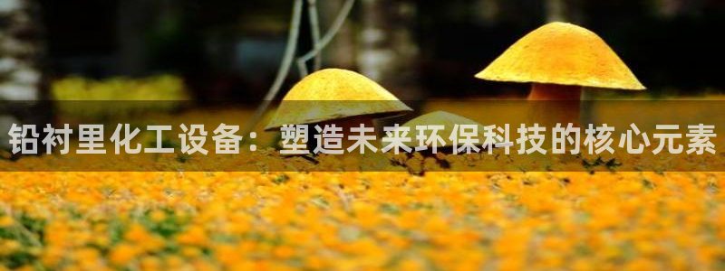 新城平台登录入口官网网址