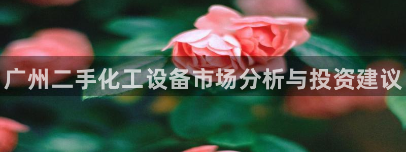 新城平台登录入口官网查询系统：广州二手化工设备市场